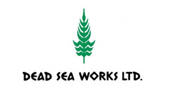 Dead Sea Works LTD.